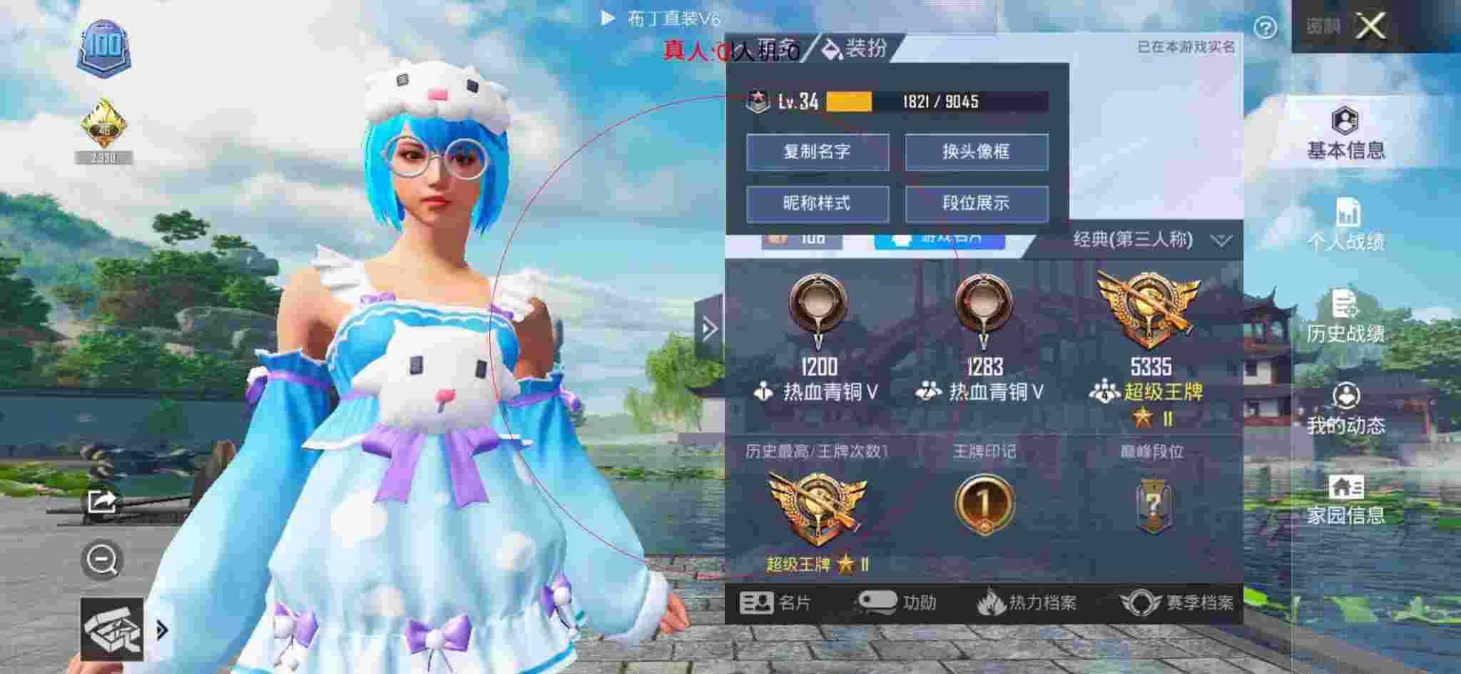 和平精英布丁直装透视 - 和平精英定制辅助下载辅助预览图